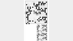 [바둑]제57기 국수전… 패착 198