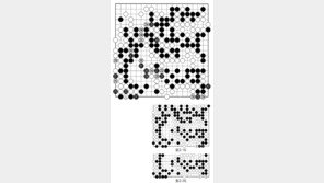 [바둑]제57기 국수전… 끝내기 맥점 254