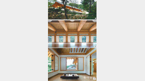 안에서 밖을 바라보니 자연이 성큼 걸어온다