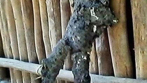 사람 모양 운석 발견 “자세가 요염하네”