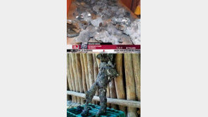 사람 모양 운석 발견, 외계에서 온 생명체? ‘오싹’