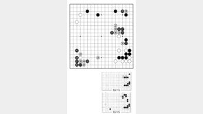 [바둑]제57기 국수전… 실착 32
