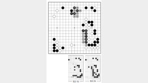 [바둑]제57기 국수전… 백의 착각