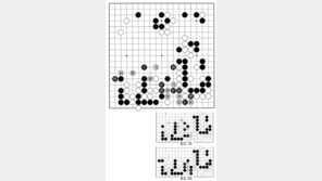 [바둑]제57기 국수전… 사실상 패착 84