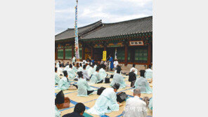 [강원]영월선 김삿갓 문화제… 조선시대 과거제 재현