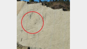 볼리비아 절벽에 집단 공룡 발자국…중력 무시 미스터리?