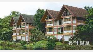 [신나는 공부]영미권·필리핀 영어캠프의 장점을 한 번에