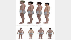 세계 중년 남성 체형 비교...네덜란드 평균키 183cm, 일본은 171cm