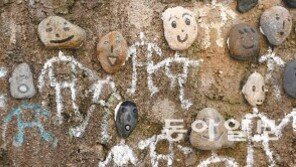 [포토 에세이]나하고 놀 사람, 여기 여기 붙어라