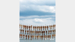 [포토 에세이]바다 그리고 그리움