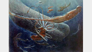 140년 전 대왕 오징어…‘캐리비안의 해적’ 실제모델?