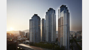 다시 보자 중대형… 중대형 아파트의 ‘반격’