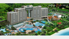 좀 더 알차고 현명하게 대명콘도회원권 분양 받는 방법은?