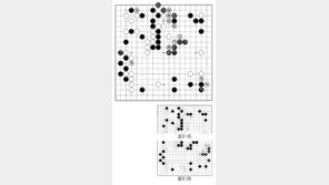 [바둑]제57기 국수전… 대세점 61