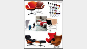 [우먼 동아일보] 가구 혹은 예술 작품! 꼭 하나 갖고 싶은 디자이너 가구 ②