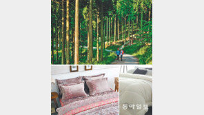 [헬스&뷰티]음이온 찾아 산으로 들로? “집에서도 충분히 경험할 수 있어요”