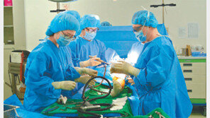 [헬스&뷰티]한국형 인공관절 개발… 수명 길고 회복도 빨라