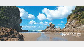 [조성하의 힐링투어]‘니시테쓰 산큐패스’로 떠나는 규슈여행