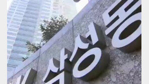 [종합뉴스]최고가 100억 ‘부촌의 상징’…삼성동 아이파크는 어떤 곳?