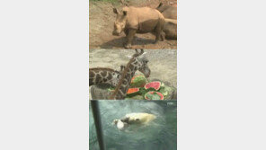 화나면 무서운 동물들, ‘예측불가’ 울버린-포악한 북극곰 등 ‘화제’