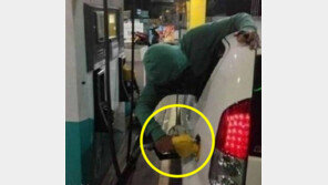 셀프 주유의 달인, 뒷자성 창문으로 고개 내밀고...