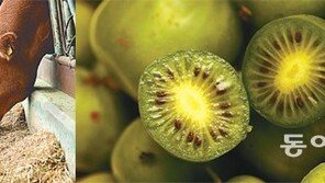 [Lifestyle]현장에 딱 맞춘 ‘강소농 수익모델’… 부농의 꿈 주렁주렁