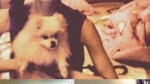 ‘티아라 탈퇴’ 아름, 과거 SNS에 올린 내용보니…‘섬뜩’