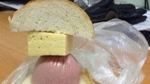뭉텅이 샌드위치, 햄 치즈가 통으로...‘어차피 배에서 섞일것’