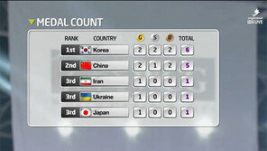 한국, 중국 제치고 WCG 2013 종합우승…은메달 1개 차이