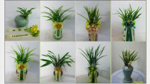 각종 기념일, 승진 등 만족후기로 가득한 꽃집 ‘꽃사랑’