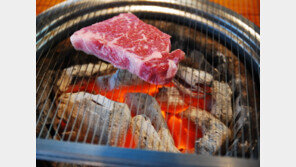 직장인 회식 최적의 메뉴 ‘육질 좋은 국내산 한우’