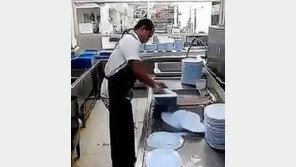 10초에 50장 설거지 “영상 직접보니 빨리감기 한듯?”