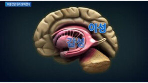 [종합뉴스]술 취하면 진심이? ‘취중진담’ 원리 밝혀졌다
