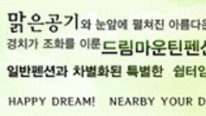 패러글라이딩과 숙박을 한번에 해결! 단양 ‘드림마운틴펜션’