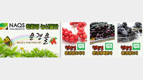 우리 가족의 건강지킴이! 안전하고 바른 먹거리 ‘문경몰’