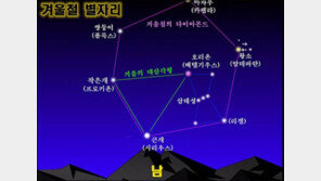 겨울철 별자리 “큰개, 작은개자리…서울하늘에 별이 보이나요?”