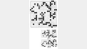 [바둑]제57기 국수전… 호수 169