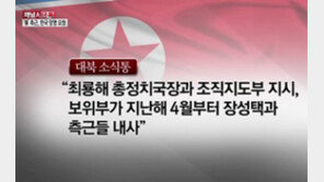 [종합뉴스]단독/‘장성택 측근’ 외교관 한국 망명 요청