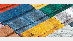 [Special]‘팜 파탈’ 열광하는 파이톤 클러치백 한국 상륙