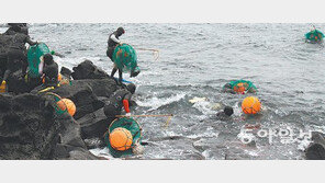 [제주]제주 범도민추진위원회 만든다
