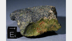 46억살 운석 “수성의 마그마까지 그대로 함유”