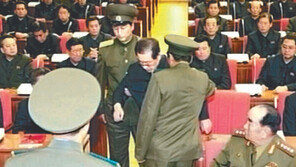 서상기 “北 장성택 사형 집행, 김정은 권력기반 취약성 방증”