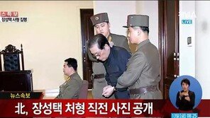 중국 정부 “장성택 처형, 북한 내부의 일일 뿐”…하지만 속내는?