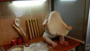 피자를 망친 아기 “망치다니! 피자는 머리로 먹는거야!”
