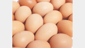 연말 술자리 잦아… ‘계란’으로 간 건강 지켜요