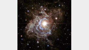 태양보다 큰 거대 별 “교과서 다시 만들어야 하나?”