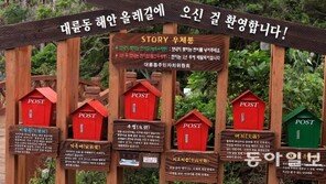 [제주]올레길 사연 꾹꾹 눌러담아… 1년뒤 받아보는 편지