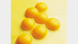 올 겨울, 영양소 풍부한 ‘계란’으로 건강 관리