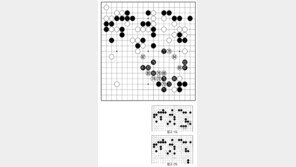 [바둑]제57기 국수전… 68을 선택한 결과는