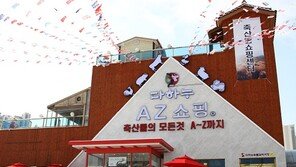 투자형창업, 베이비부머 세대에 안심창업으로 각광